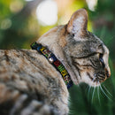 Cat Collar Breakaway - JUSTICE LEAGUE OF AMERICA w Superhero Blocks Black Multi Color
