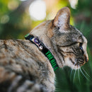 Cat Collar Breakaway - THE RIDDLER Face CLOSE-UP Black Green