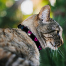 Cat Collar Breakaway - Superman Shield Black Hot Pink