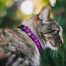 Breakaway Cat Collar with Bell - Superman Logo in Heart Purple/White/Pink