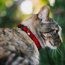 Cat Collar Breakaway - Spiderweb Red Black