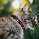 ULTIMATE SPIDER-MAN Cat Collar Breakaway - SPIDER-MAN 3-Poses Spider Web Sketch Black White Red