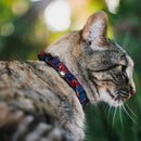 ULTIMATE SPIDER-MAN Cat Collar Breakaway - SPIDER-MAN 3-Action Poses Bricks Stripe Blues Red White