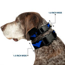 Plastic Clip Collar - Nightwing Logo Black/Blue