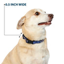 Plastic Clip Collar - The Apothecary Diaries Chibi Jinshi Flip Pose Blue