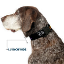 Plastic Clip Collar - DISNEY PRIDE Signature Logo Black/White/Rainbow
