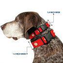 Plastic Clip Collar - DC League of Super-Pets Flash Bolt Logo Red/Yellow/White