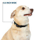 Plastic Clip Collar - South Park Boys Face Repeat Black