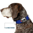 DC LEAGUE OF SUPER-PETS Logo Full Color Black/White Seatbelt Buckle Collar - DC League of Super-Pets Superman Shield Logo Blue/Red/Yellow