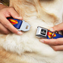 DC LEAGUE OF SUPER-PETS Logo Full Color Black/White Seatbelt Buckle Collar - DC League of Super-Pets Superman Shield Logo Blue/Red/Yellow