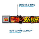 Dog Collar FLJ-THE FLASH Charge - THE FLASH Super Charged Running Pose