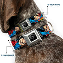 Superman Black/Silver Seatbelt Buckle Collar - Superman Metropolis Face-Off