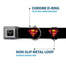 Superman Black Silver Seatbelt Buckle Collar - Superman Shield Black