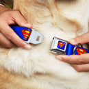 Superman Full Color Blue Seatbelt Buckle Collar - Superman Shield Blue