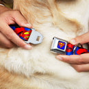 Superman Full Color Blue Seatbelt Buckle Collar - Superman Shield w/Cape