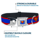 Superman Full Color Blue Seatbelt Buckle Collar - Superman Shield/Stripe Red/Blue