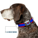 Superman Full Color Blue Seatbelt Buckle Collar - Superman Shield/Stripe Red/Blue