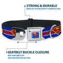 Superman Full Color Blue Seatbelt Buckle Collar - SUPERMAN/Shield Stripe Blue/Yellow/Red