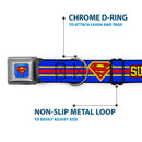 Superman Full Color Blue Seatbelt Buckle Collar - SUPERMAN/Shield Stripe Blue/Yellow/Red