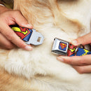 Superman Blue Seatbelt Buckle Collar - Jagged Superman Shield CLOSE-UP Yellow/Blue/Red