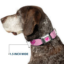 Superman Full Color Pink Seatbelt Buckle Collar - Superman Shield Pink