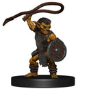 D&D: Icons of the Realms - Goblin Warband