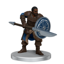 D&D: Icons of the Realms - Dragonlance: Kalaman Military Warband