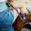 Dog Leash - Superman Shield/Stripe Red/Blue