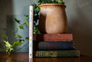 The Bricks 'n Blooms Beautiful and Easy-Care Flower Garden Planner