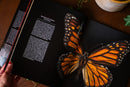 Extinct & Endangered: Insects in Peril