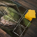 Sacred Tortoise Playmat