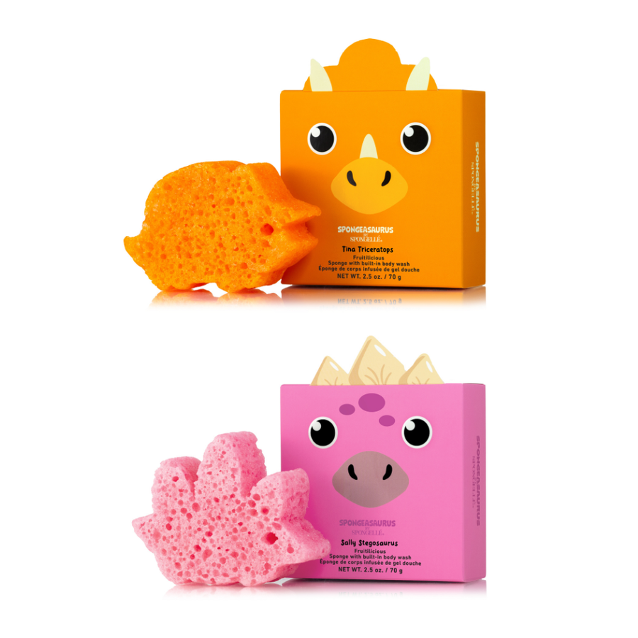 Sally Stegosaurus & Tina Triceratops Dinosaur Set