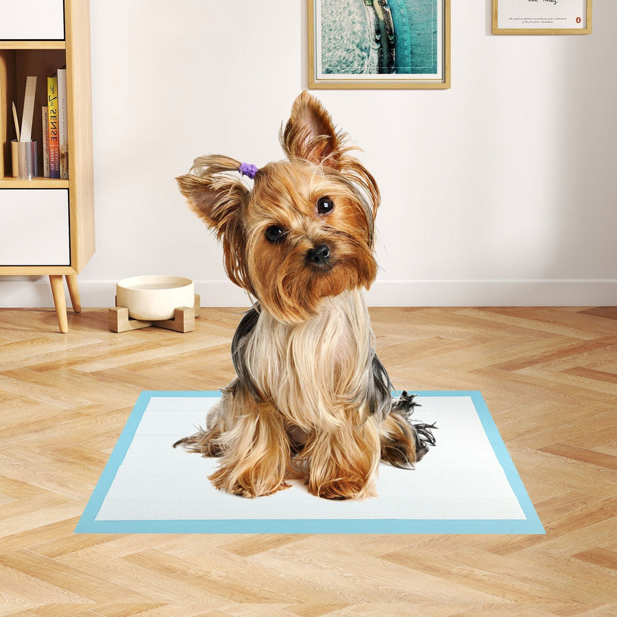 Dog and Puppy Pee Pads 18