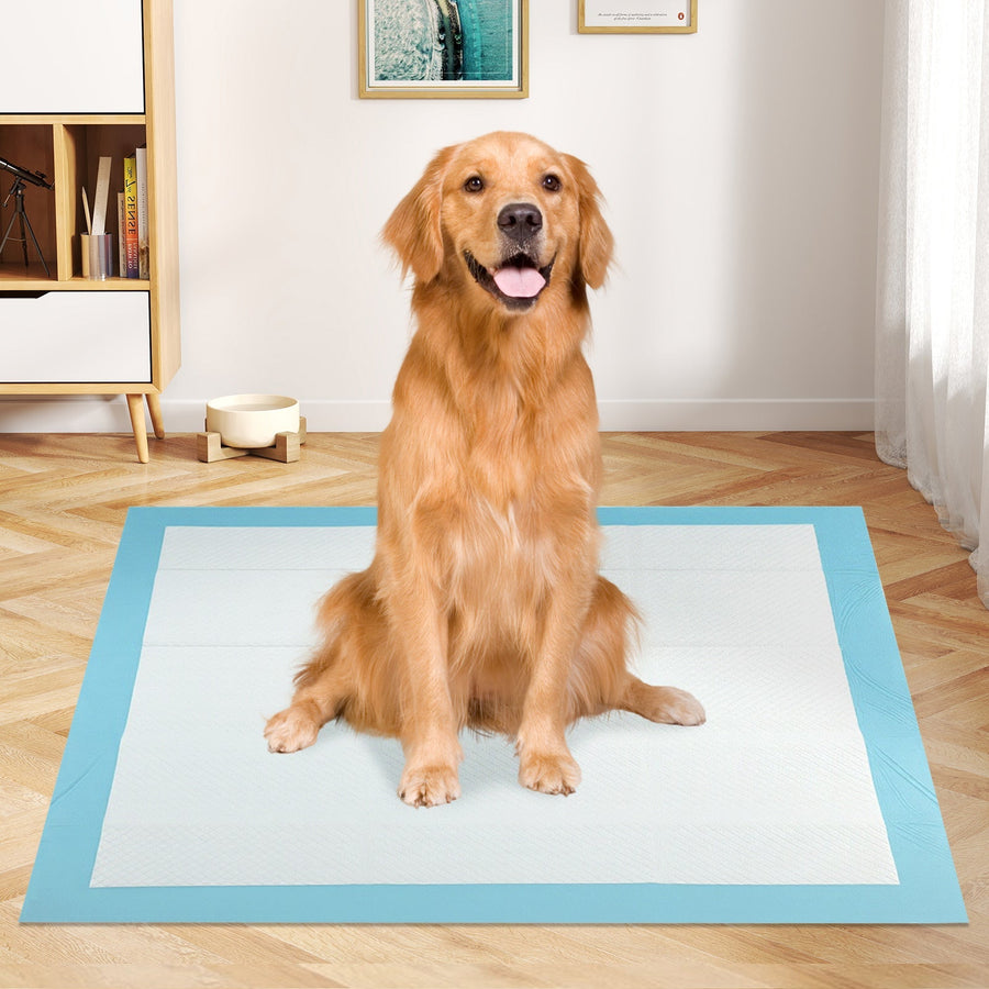 Dog and Puppy Pee Pads 36