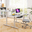 Height Adjustable Electric Standing Desk with USB Charging Port