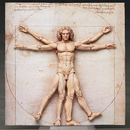 figma: The Table Museum - Vitruvian Man (2nd Re-Run)