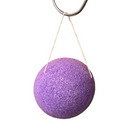 Facial Konjac Sponges in Lilac Ash Tube Pack | Giftable Skincare Beauty Kit Set