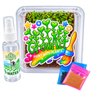 GrowArt™ Grow-Your-Own Art Kit: COMPACT Classroom Bundle (24)
