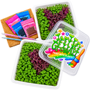 GrowArt™ Grow-Your-Own Art Kit: COMPACT Classroom Bundle (24)