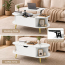 Lift Top Coffee Table with Hidden Compartment and Shelves