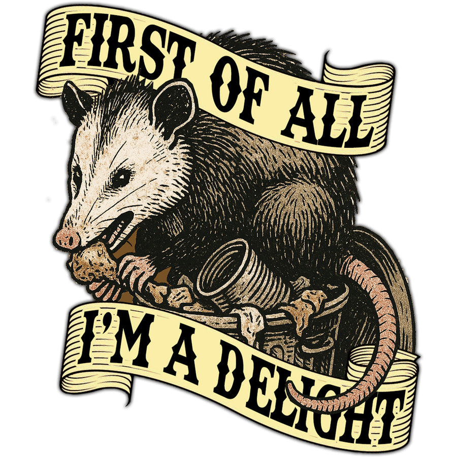 First of All I'm a Delight Car Magnet