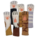 Fish & Katz