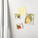 Fruit Puns Magnetic Memo Holder Set | 3 Magnets on a Metal Gift Backing