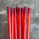 NECTARINE tumbler straw- Set of 1