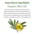 DHC Olive Virgin Oil Facial Moisturizer 1 fl oz - Imperfect Box
