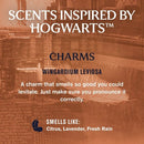 Every Man Jack Harry Potter Holiday Body Wash Gift Set 3ct - Imperfect Box