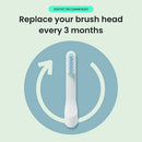 quip Whitening Toothbrush Head Refill 2pk - Imperfect Box