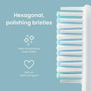 quip Whitening Toothbrush Head Refill 2pk - Imperfect Box