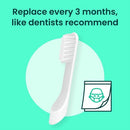 quip Sonic Brush Head Refill 2ct - Imperfect Box