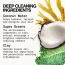 Pacifica Kale Detox Deep Cleansing Face Wash Scented 5 fl oz - New